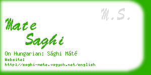 mate saghi business card