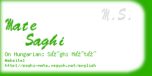 mate saghi business card